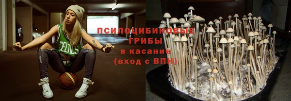 наркотики Каменка