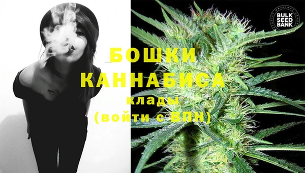индика Лабытнанги
