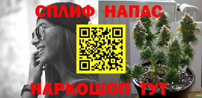 ешки Кимры