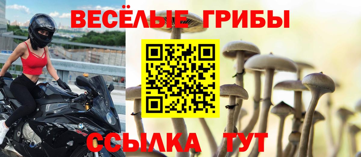 Псилоцибиновые грибы Cubensis Новочеркасск