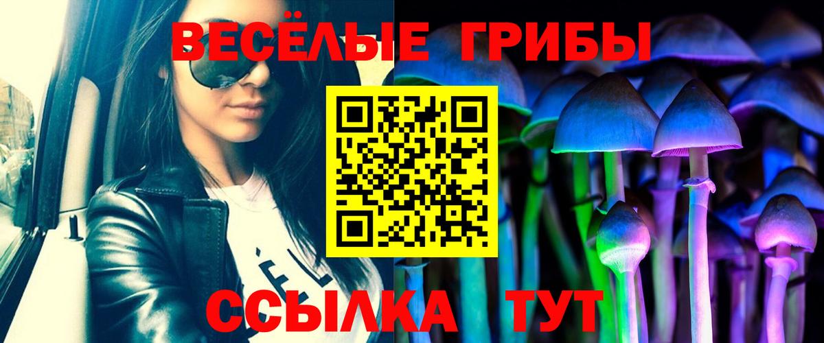 Галлюциногенные грибы мицелий  Вход с VPN  Новочеркасск 