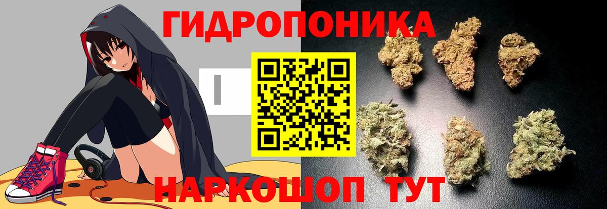 Марихуана SATIVA & INDICA  Бошки Шишки SATIVA & INDICA  Новочеркасск  Канабис гибрид  Вход с VPN 